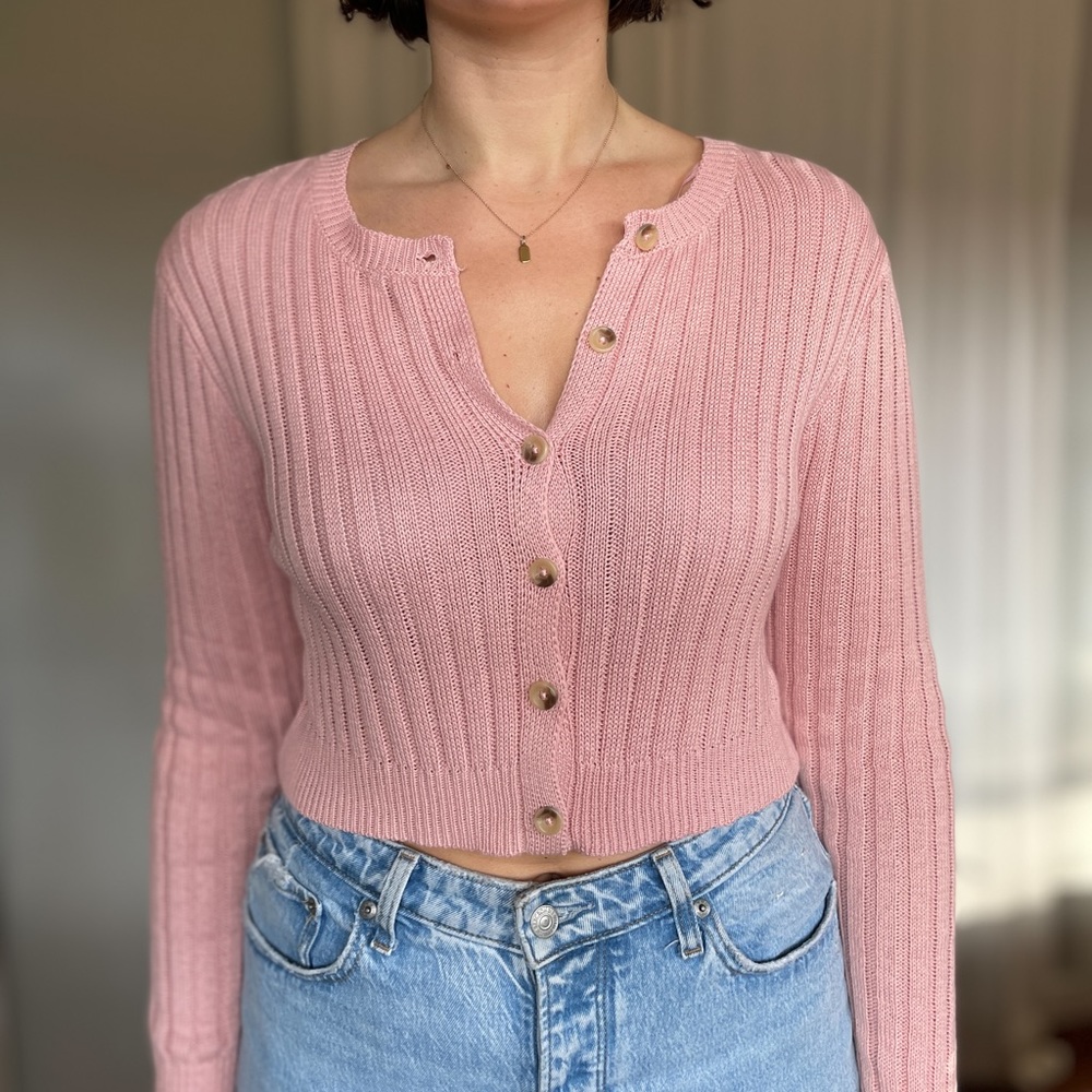 Wild fable cropped sweater